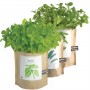 Garden-in-a-Bag Organic Herb Collection