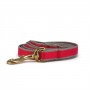 Bamboo Solid Dog Leash Collection