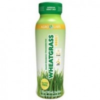 Agro Labs Wheatgrass Boost Shot (6x6/3 Oz)